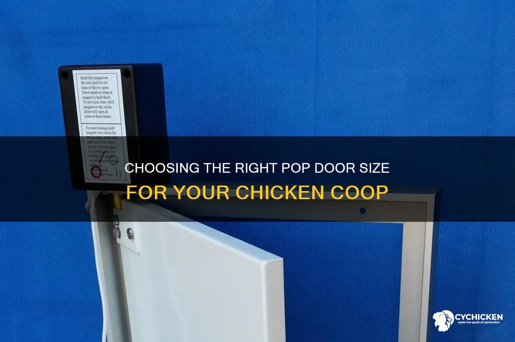 how big of a pop door for chicken