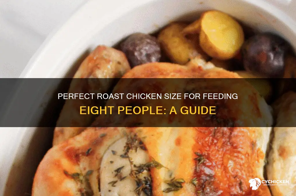 how big of a roast chicken for 8 people