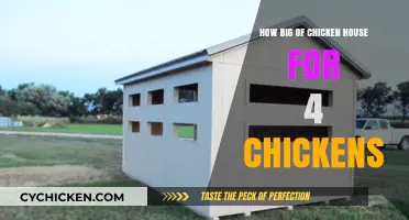 Sizing Your Chicken Coop: Ideal Space for 4 Happy Hens