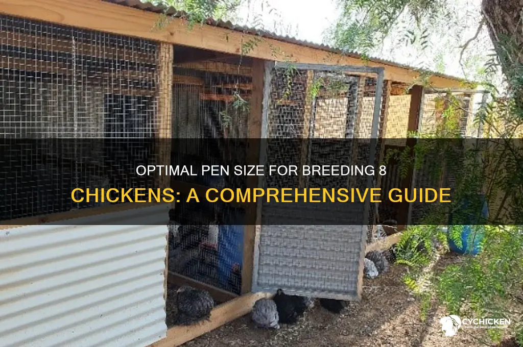 how big of pen for 8 chicken breeding