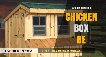 Choosing the Right Chicken Box Size for Happy, Healthy Hens