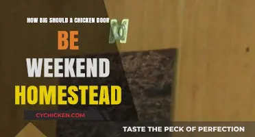 Chicken Door Sizing: Weekend Homestead Security