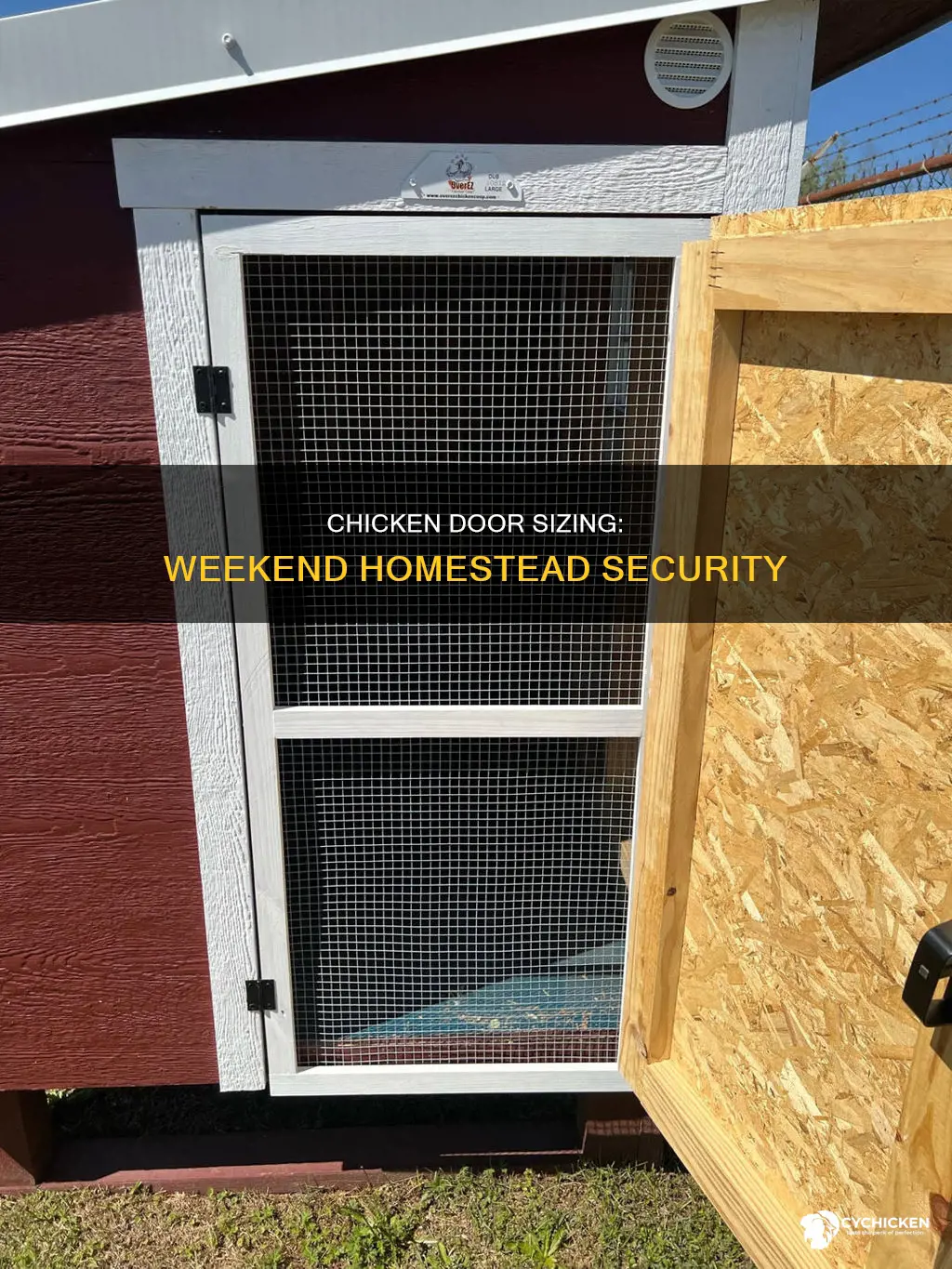 how big should a chicken door be weekend homestead