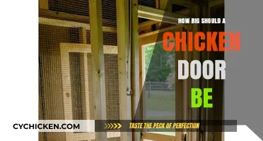 Ideal Chicken Coop Door Size: Ensuring Safety and Easy Access for Hens