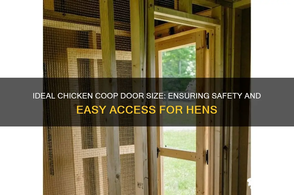 how big should a chicken door be