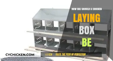 Optimal Chicken Nest Box Size for Happy, Healthy Egg Laying