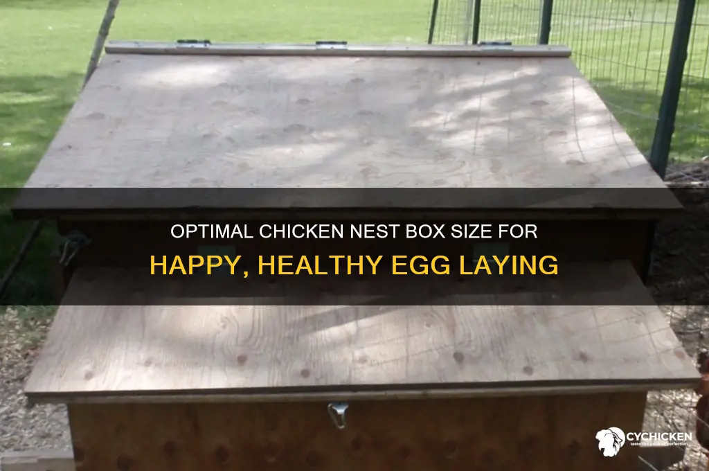 how big should a chicken laying box be