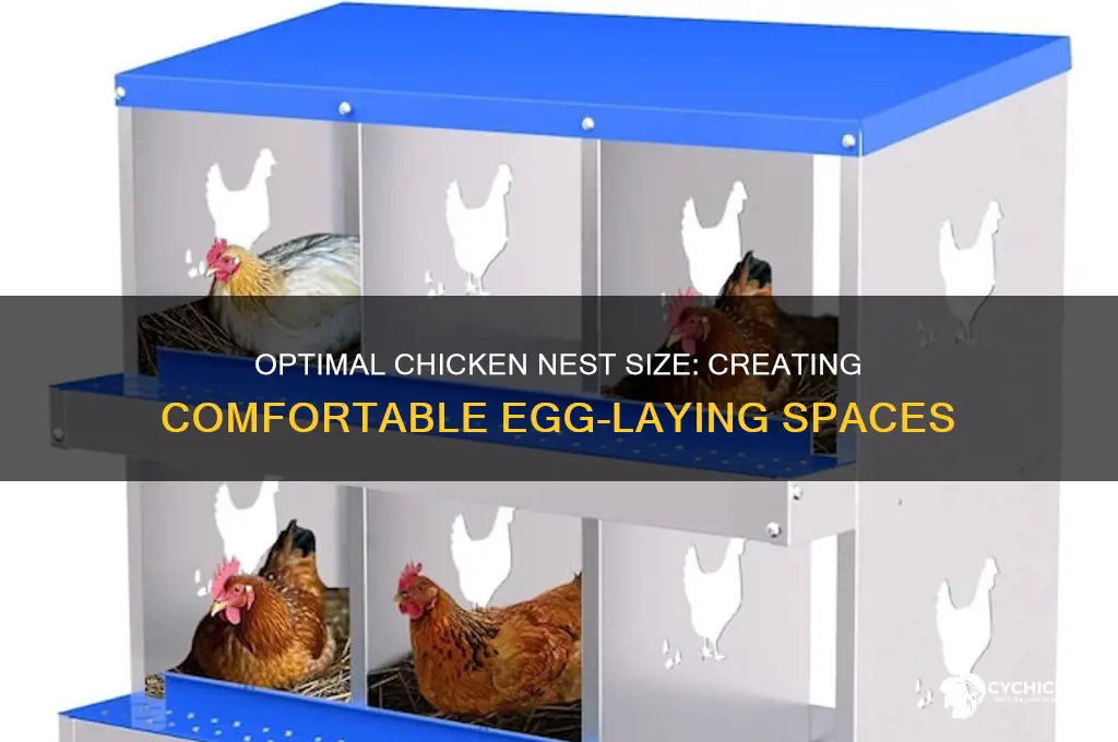 how big should a chicken nest be