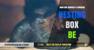 Ideal Chicken Nesting Box Size: A Guide for Happy Hens