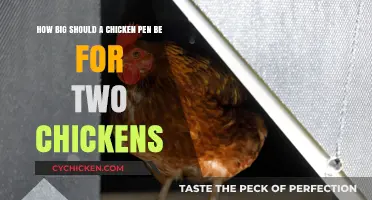 Chicken Coop Size: Ideal Space for Happy Hens
