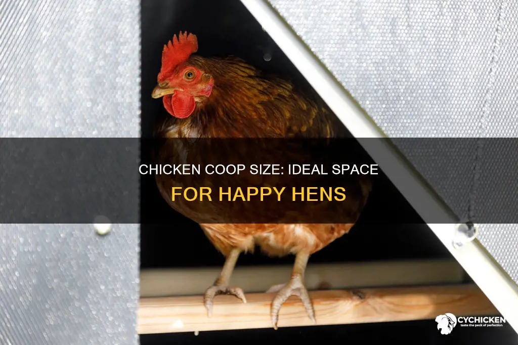 how big should a chicken pen be for two chickens