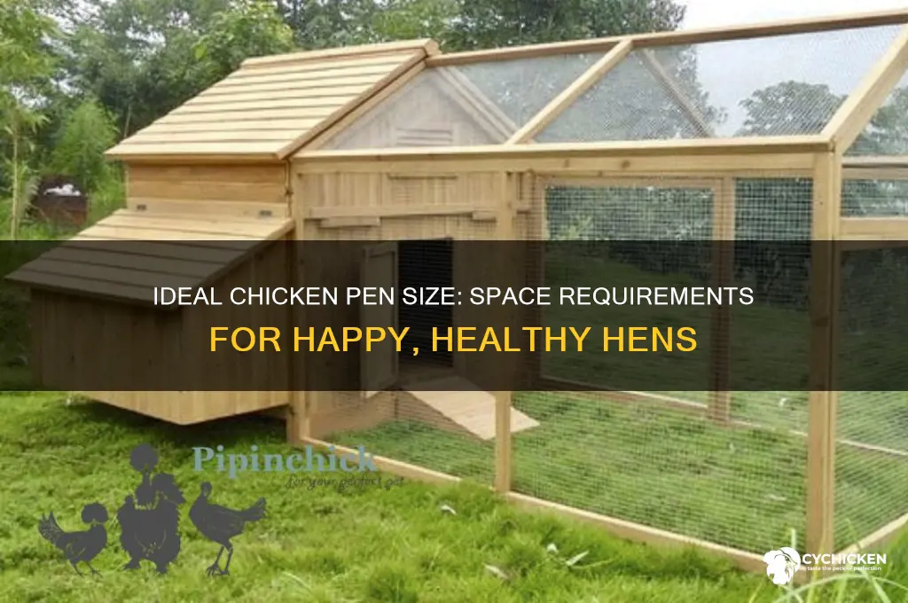 how big should a chicken pen be