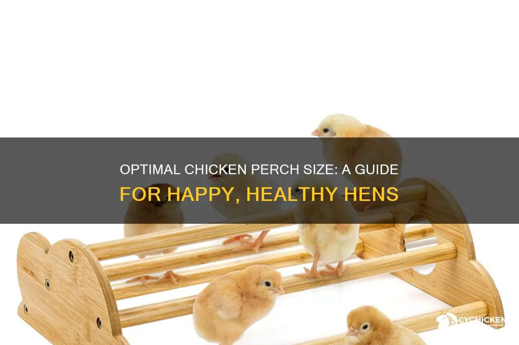 how big should a chicken perch be