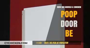 Ideal Chicken Poop Door Size: A Practical Guide for Coop Owners