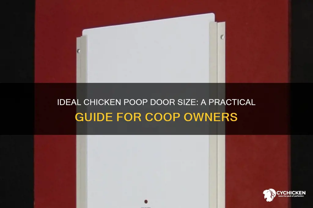 how big should a chicken poop door be