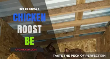 Ideal Chicken Roost Size: Comfort and Space for Happy Hens