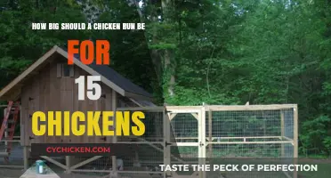 Spacious Chicken Runs: How Big is Big Enough?