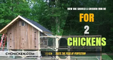 Spacious Chicken Runs: How Big is Big Enough?