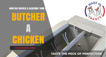 Selecting the Right Scalding Tank for Chicken Processing