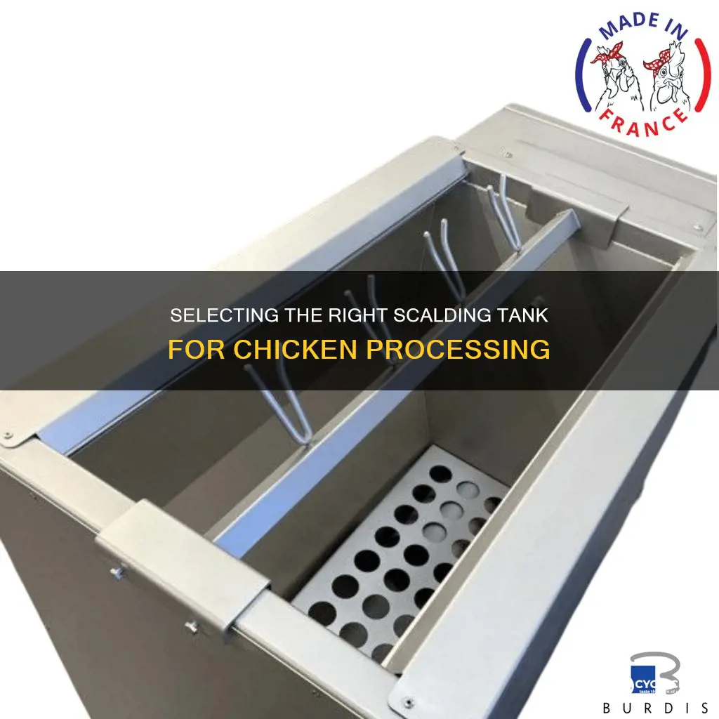 how big should a scalding tank be butcher a chicken