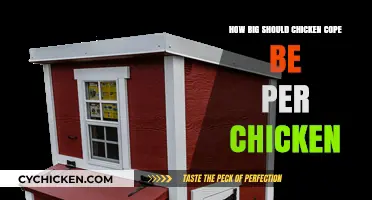 Optimal Chicken Coop Size: Space Requirements for Happy, Healthy Chickens