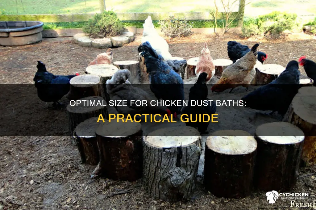 how big should chicken dust bath be