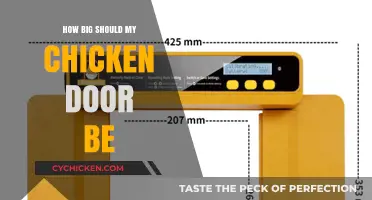 Choosing the Right Chicken Coop Door Size for Your Flock