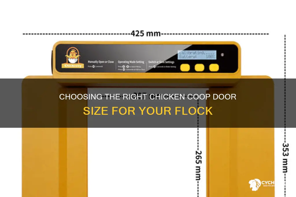 how big should my chicken door be