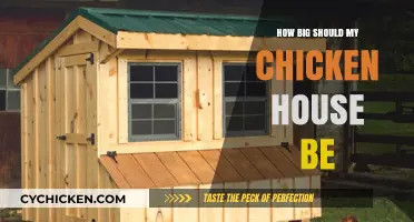 Choosing the Right Size Chicken Coop for Your Flock's Comfort