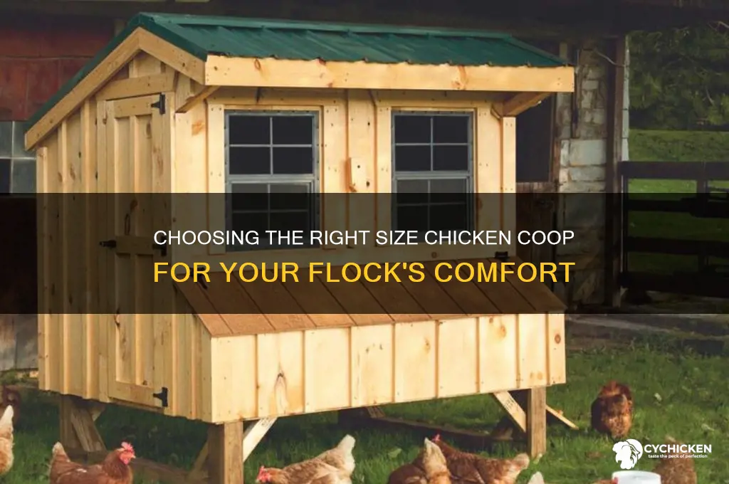 how big should my chicken house be