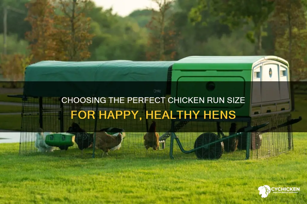 how big should my chicken run be