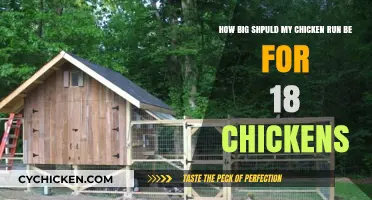 Spacious Chicken Runs: How Big is Best?