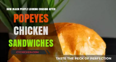 Popeyes Chicken Sandwich Craze: Exploring Black America's Cultural Obsession