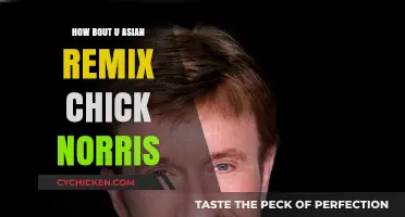 Asian Remix Chick Norris: Redefining Action Comedy with a Twist