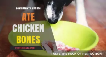 Dog Ate Chicken Bones? Quick Bread Remedy and Safety Tips