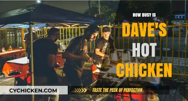 Dave's Hot Chicken: Unraveling the Buzz and Busiest Hours