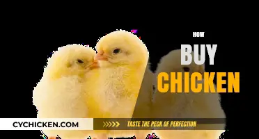 Smart Chicken Buying Guide: Tips for Quality, Freshness, and Value