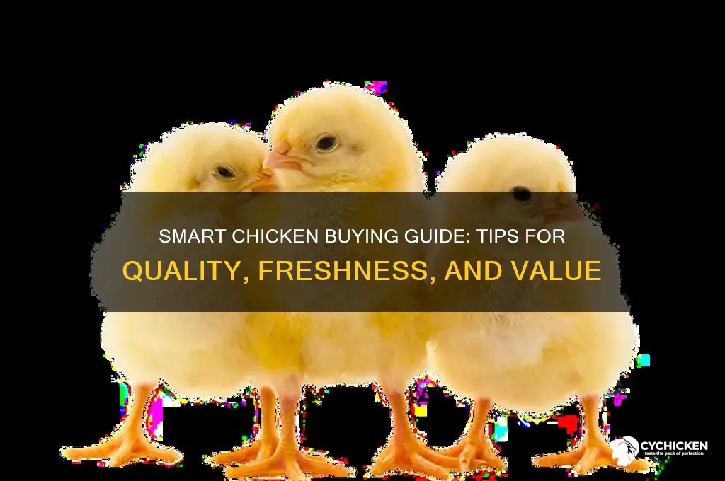 how buy chicken