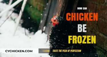 The Ultimate Guide to Freezing Chicken: Tips and Tricks