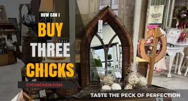 A Beginner's Guide to Buying and Caring for Three Chicks