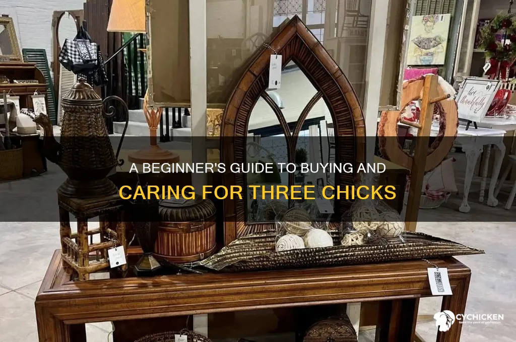 how can i buy three chicks