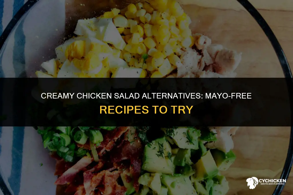 how can i make chicken salad without mayo