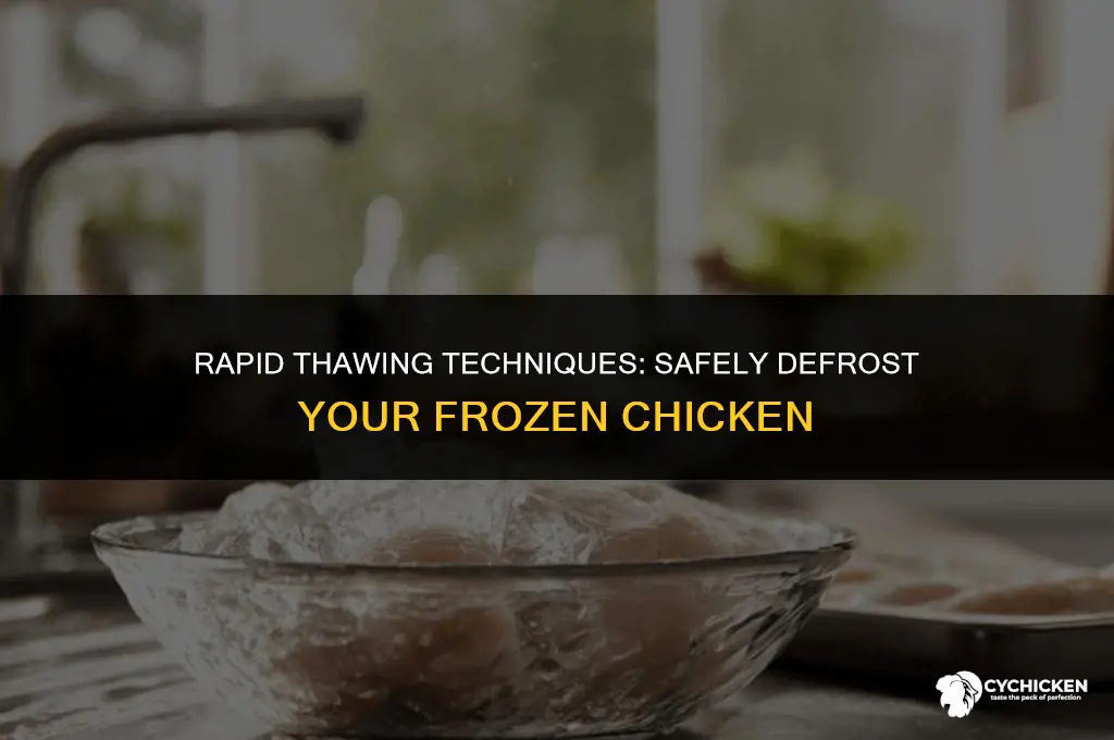 how can you quickly thaw a frozen chicken