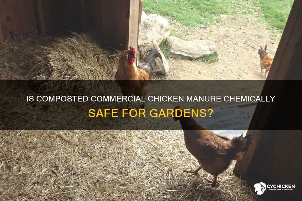 how chemically safe is composted commercial chicken manure