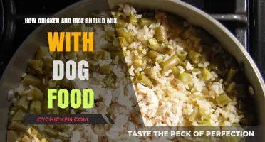 Chicken, Rice, and Dog Food: The Perfect Mix