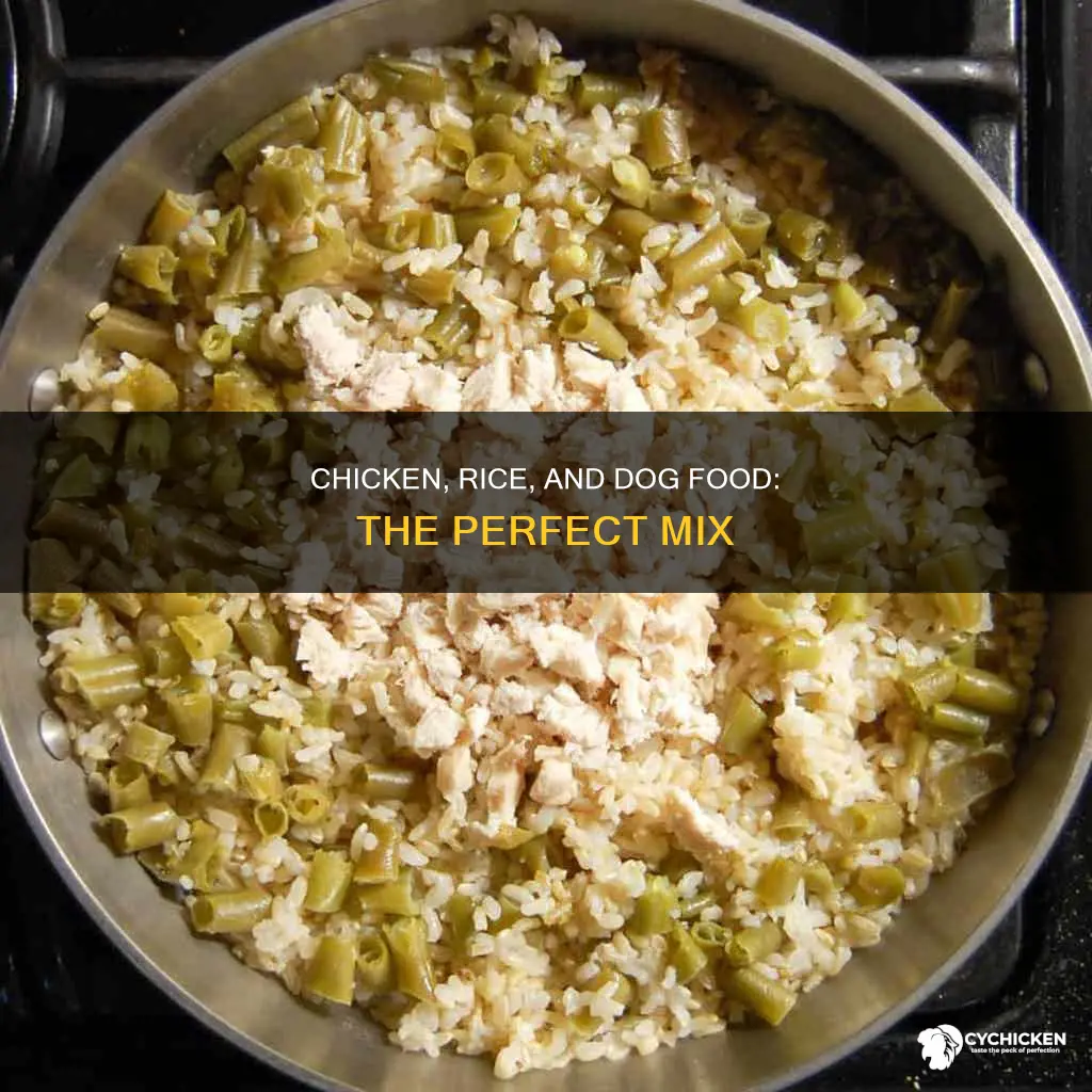 how chicken and rice should mix with dog food