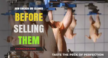 From Farm to Table: The Chicken Cleaning Process Before Selling