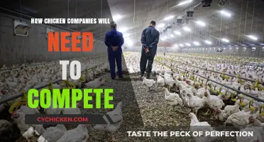 Chicken Wars: Strategies for Companies to Dominate the Competitive Poultry Market