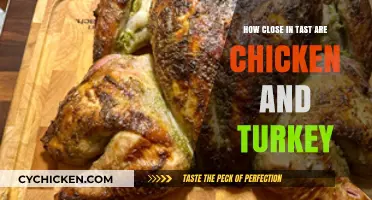 Chicken vs. Turkey: A Taste Comparison of Poultry Favorites