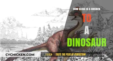 Chickens and Dinosaurs: Unraveling the Surprising Evolutionary Connection